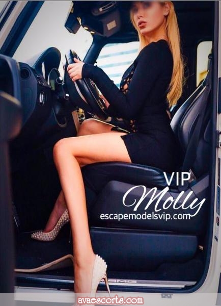 Elite luxury travel escort fees