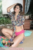 Escort 190226482271492859616_staff_80_58fb3ae08efe8.jpg