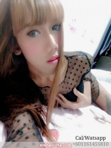 Escort Beezi69johor